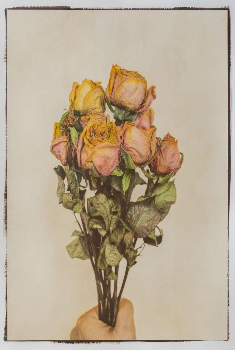 触摸手工制作影像的温度——“房景楠手工印相作品展”亮相深圳美术馆